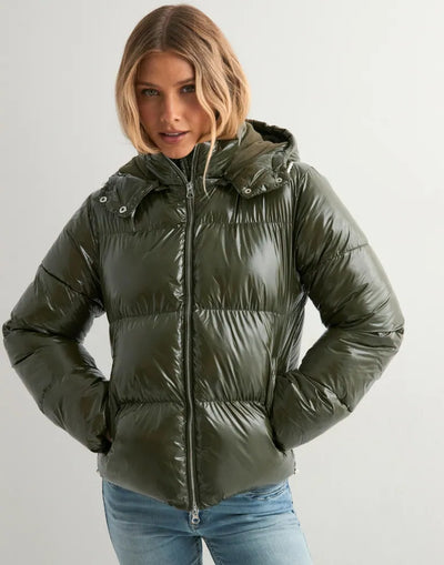 WINTER COLLECTION 25'